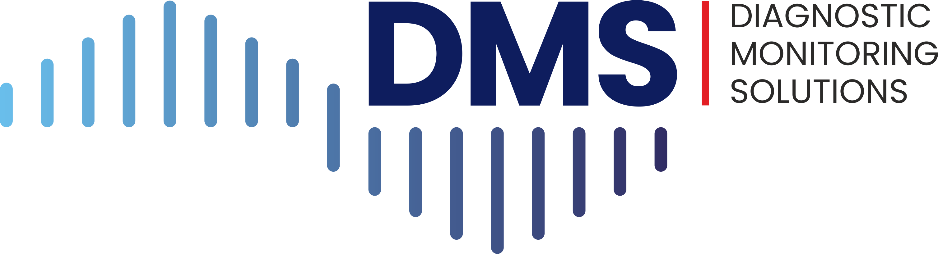 DMS Logo
